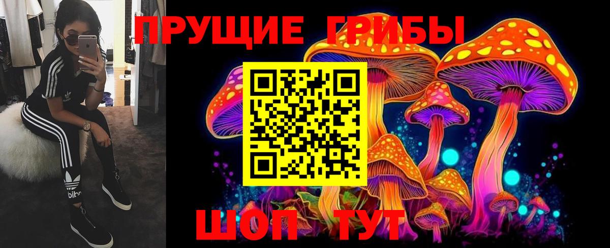 Галлюциногенные грибы мицелий  где найти   Вход с VPN  Сегежа  Псилоцибиновые грибы MAGIC MUSHROOMS 