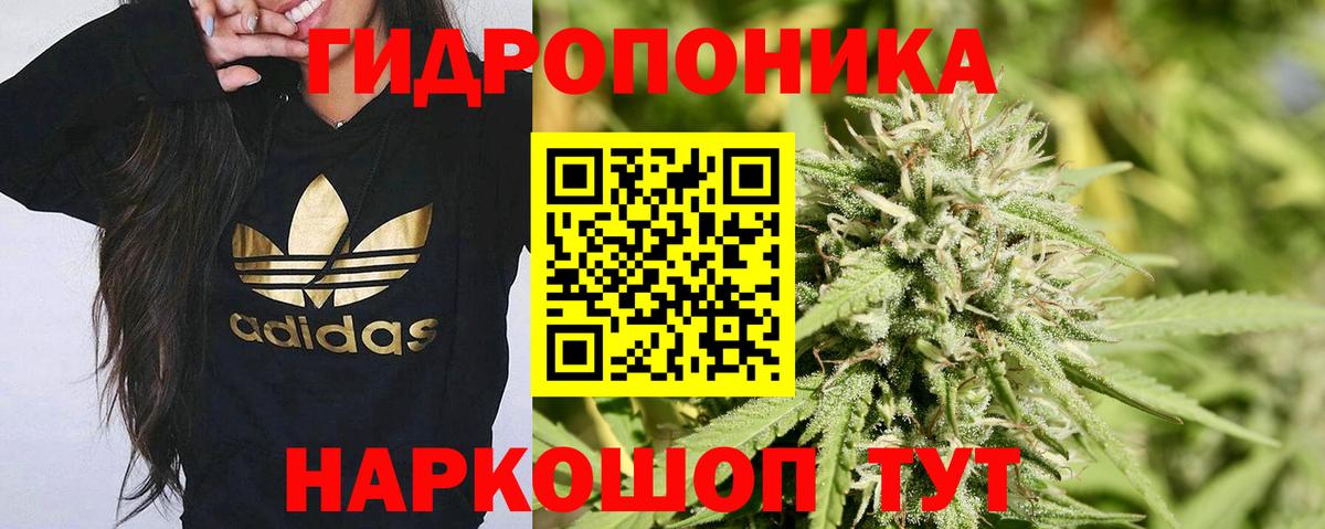 Сегежа  Канабис планчик  Вход с VPN  Бошки Шишки MAZAR  Канабис LSD WEED 